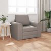 vidaXL Sofa lova Taupe 98 x 71 x 83 cm audinys