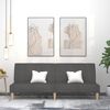 vidaXL Dvivietė sofa-lova, tamsiai pilkos spalvos, audinys