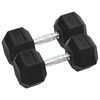 vidaXL Svarmenys, 2vnt., 12,5kg, viso liejinis geležis