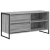 vidaXL Televizoriaus spintelė 100 x 36 x 49,5 cm Pilkas Sonoma