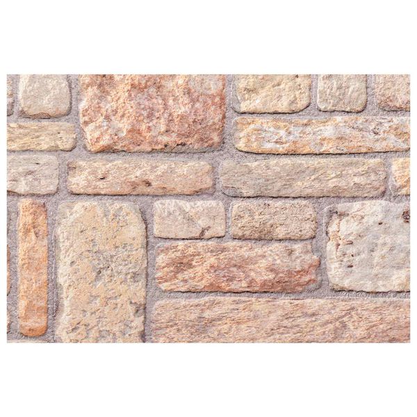 vidaXL Sienų plok&scaron;tės 10 pcs &Scaron;viesiai ruda ir balta 100 x 50 cm