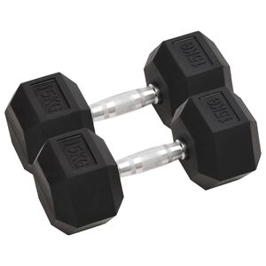 vidaXL Svarmenys, 2vnt., 15kg, viso liejinis geležis