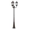 vidaXL Sodo &scaron;viesa Bronzinė 61 x 53 x 235 cm Aliuminis ir stiklas