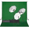 vidaXL Fotostudijos rinkinys su ap&scaron;vietimo rinkiniu ir fonu