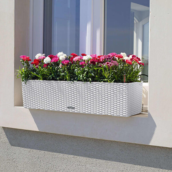 LECHUZA Lovelis BALCONERA Cottage 80 ALL-IN-ONE, baltos spalvos