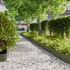 Olive_green