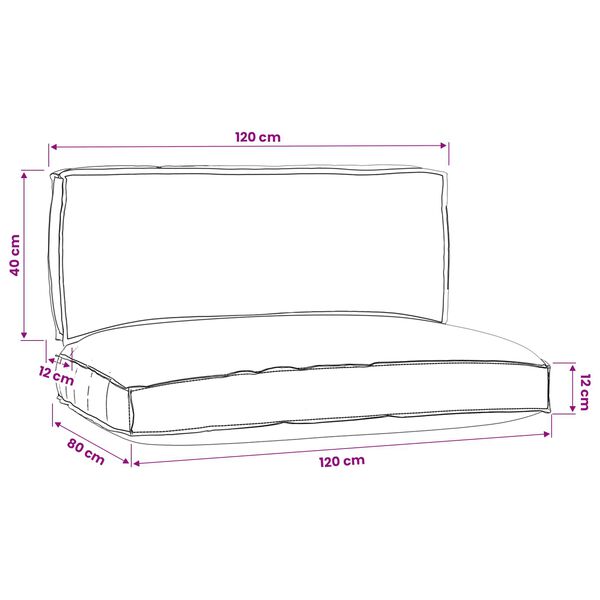 vidaXL Pallet pagalvių rinkinys 2 pcs Antracitas Oksfordo audinys