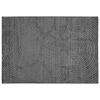 vidaXL Vidaus ir lauko kilimas PALMERAS Antracitas 340 x 240 cm