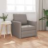 vidaXL Sofa lova 60cm Taupe audinys