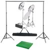vidaXL Fotostudijos komplektas su ap&scaron;vietimo rinkiniu ir fonu