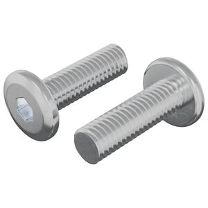 vidaXL Varžtas 2 pcs Sidabro 8 x 25 mm Plienas