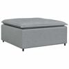 vidaXL Modulinė sofa, pakojų pakojis, &scaron;viesiai pilka, 100x100x48 cm