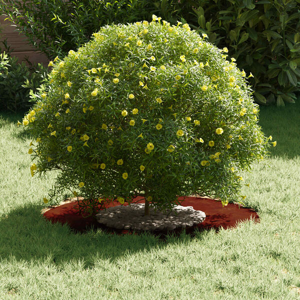 vidaXL tinkamas plok&scaron;čiam medžio žiedui Ruda &Oslash;30 / 60 cm