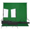 vidaXL Fotostudijos rinkinys su ap&scaron;vietimo rinkiniu ir fonu