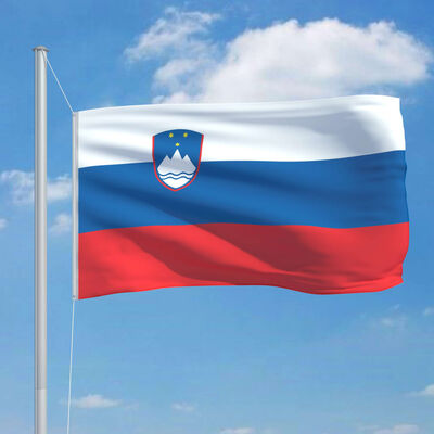 vidaXL Slovėnijos vėliava su stiebu, aliuminis, 6,2m