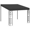 vidaXL Prie sienos montuojama pavėsinė, antracito, 3x3x2,5m
