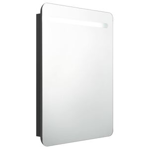 vidaXL Veidrodinė vonios spintelė su LED ap&scaron;vietimu, juoda, 60x11x80cm