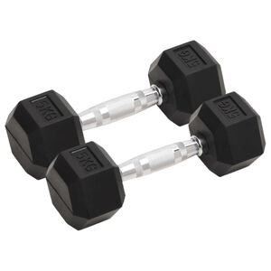 vidaXL Svarmenys, 2vnt., 5kg, viso liejinis geležis