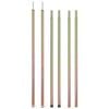 vidaXL Teleskopiniai palapinės strypai, 2vnt., 170-255cm, plienas