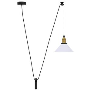 vidaXL Pakabinamas lempos, auk&scaron;tis reguliuojamas, E27, &Oslash; 22cm, metalas