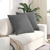 vidaXL Sofa Pagalvės 2 pcs Tamsiai pilka 80 x 80 cm audinys