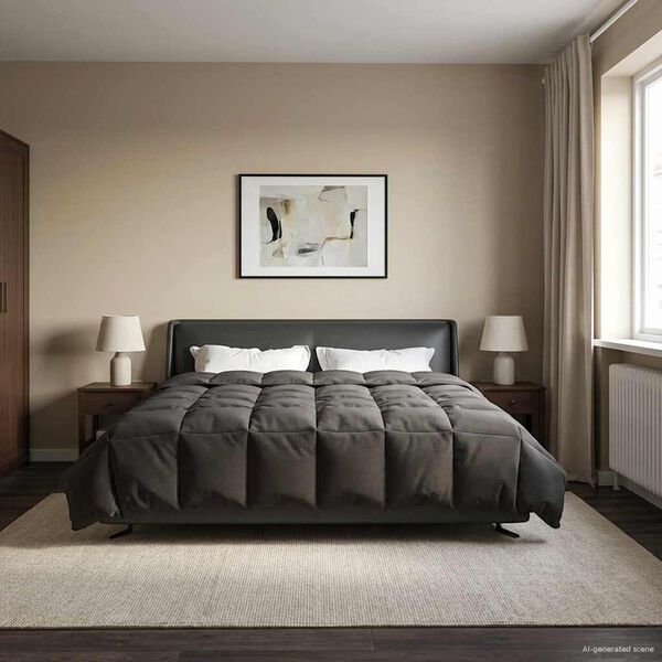 vidaXL Pilna metų antklodė Antracitas 200 x 220 cm Mikropluo&scaron;tas