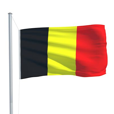 vidaXL Belgijos vėliava su stiebu, aliuminis, 6,2m
