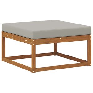 vidaXL Lauko pakojis Natūrali