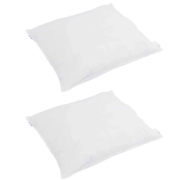 vidaXL Pagalvė su pagalve 2 pcs Balta 50 x 50 cm Plunksna
