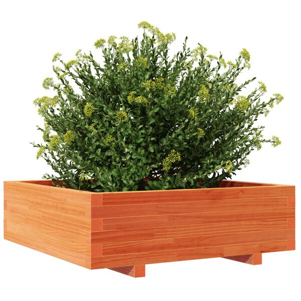 vidaXL Sodo lovelis, va&scaron;ko rudas, 80x80x26,5cm, pu&scaron;ies masyvas