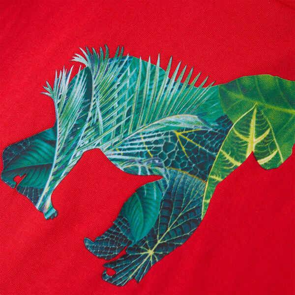 Vaikiški marškinėliai, raudonos spalvos, 128 dydžio