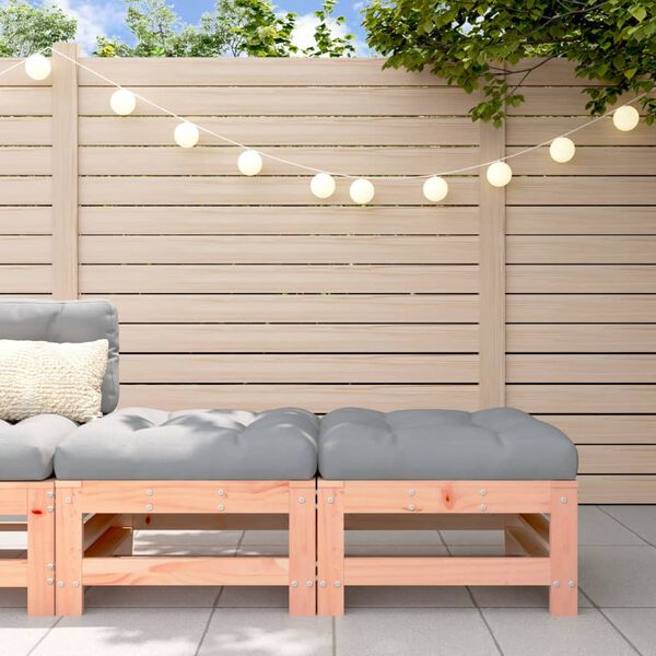 vidaXL Sodo pakojos su pagalvėlėmis, 2vnt., douglas eglės masyvas