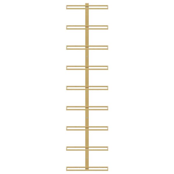 vidaXL Prie sienos montuojami vyno laikikliai, 2vnt., aukso, geležis