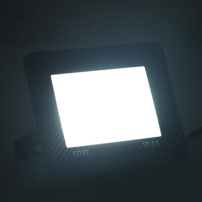 vidaXL LED prožektorius, šaltos baltos spalvos, 50W