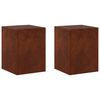 vidaXL Augalų stovas 2 pcs Rūdijanti 30 x 30 x 40 cm