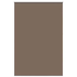vidaXL roletas kava 165x210 cm audinio plotis 161,6 cm poliesteris