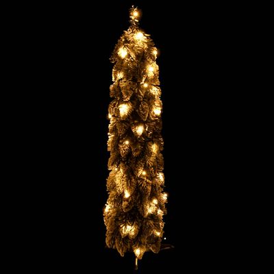 vidaXL Dirbtinė apšviesta Kalėdų eglutė su 30 LED ir sniegu, 60cm