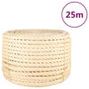 vidaXL Virvė, 25m, 100% sizalis, 20mm