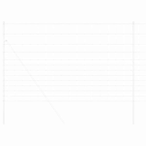 vidaXL Laukinis Pagaras Kar&scaron;tojo cinkavimo apdaila