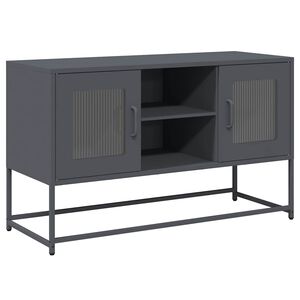 vidaXL Televizoriaus spintelė, antracito, 100,5x39x60,5cm, plienas