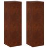 vidaXL Augalų stovas 2 pcs Rūdijanti 30 x 30 x 100 cm