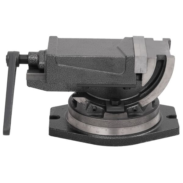 vidaXL Dviejų ašių pakreipiamas spaustuvas, 100mm