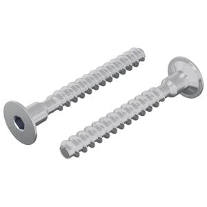 vidaXL Varžtas 2 vnt. Cinkuota 5 x 40 mm Geležis