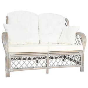 vidaXL Dvivietė sofa, pilkos spalvos, ratanas