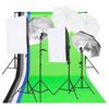 vidaXL Fotostudijos ap&scaron;vietimo rinkinys