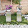 vidaXL Augalų stovas 2 pcs Sidabro 24 x 24 x 55 cm