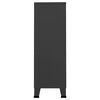 vidaXL Drabužių spinta, antracito spalvos, 67x35x107cm, plienas