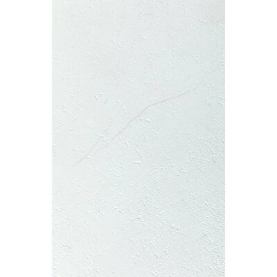 Grosfillex Sienos plokštės Gx Wall+, 11vnt., baltos spalvos, 30x60cm