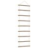 vidaXL sienų dekoravimo kopėčios formos 50x150 cm Natural Branch