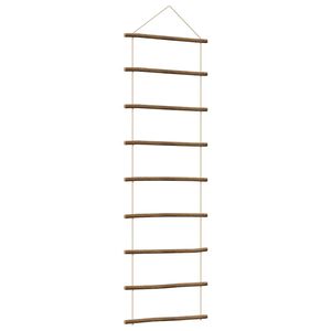 vidaXL sienų dekoravimo kopėčios formos 50x150 cm Natural Branch